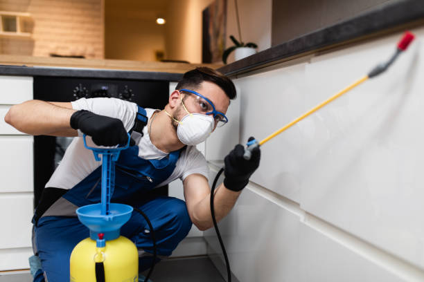 Best Bed Bug Extermination  in Kapaa, HI