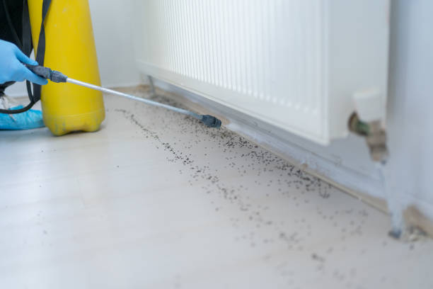 Pest Control Cost in Kapaa, HI